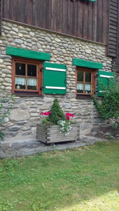 Almwiese Apartment Stadl an der Mur Exterior foto